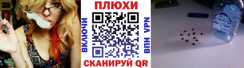 наркошоп  Ленинградская  ГАШ VHQ 