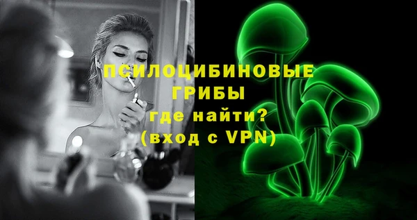 шишки Нягань