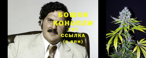 шишки Нягань
