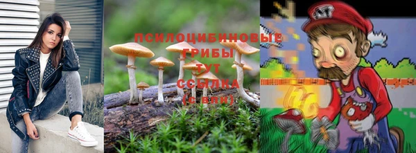 соль ск Нязепетровск