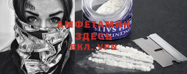 шишки Нягань